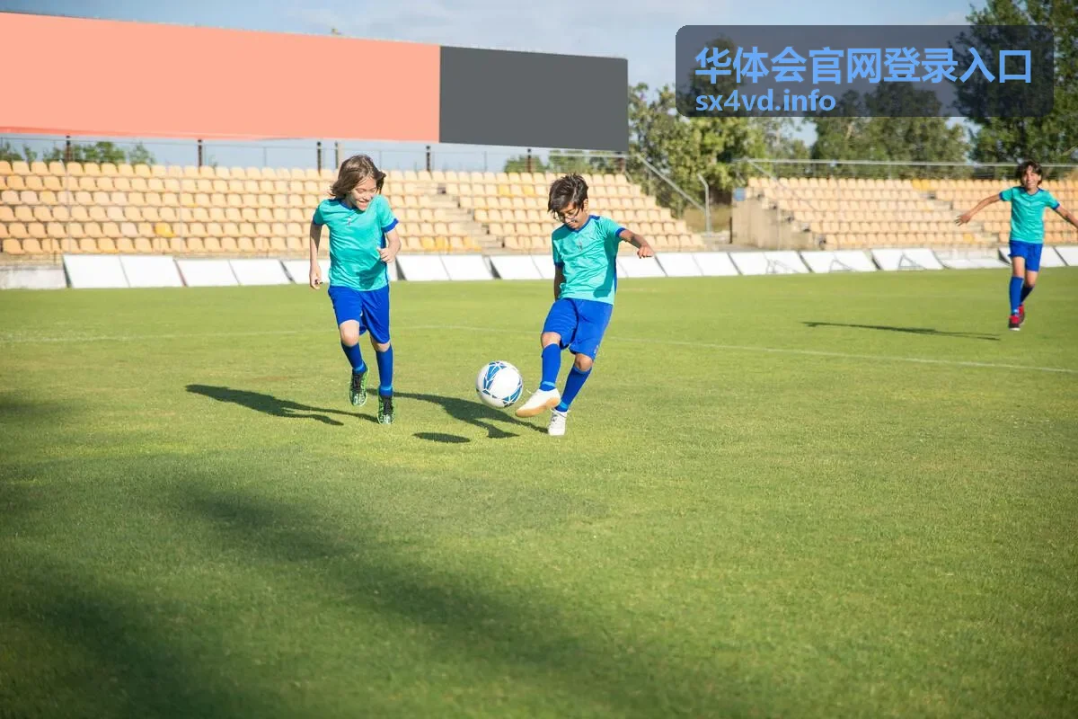 华体会官网登录入口深度专题报告